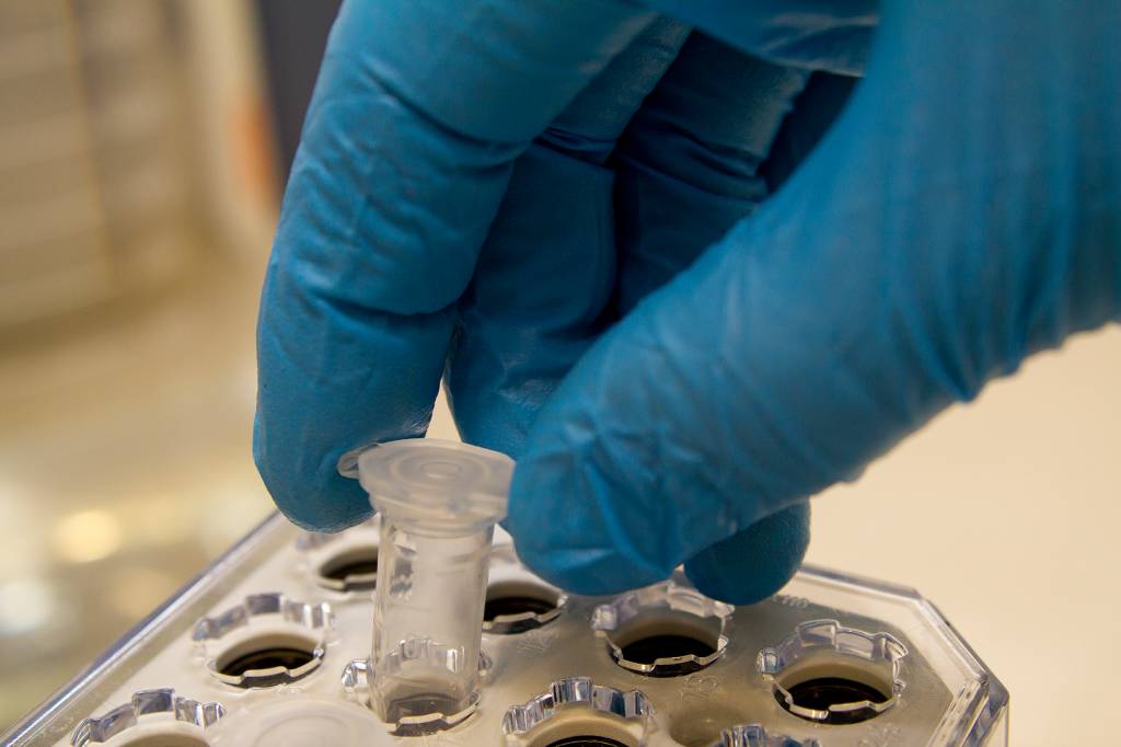 Biomedicina: O que o biomédico faz?