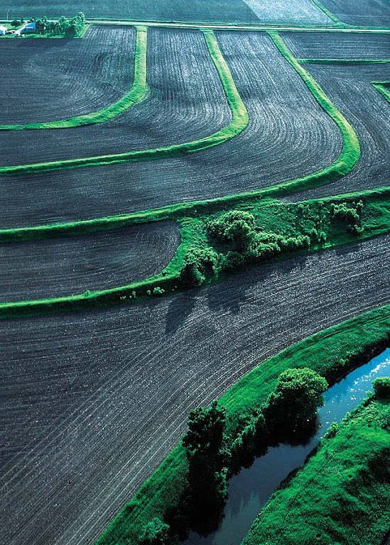 Conheça o curso de Gestão Ambiental