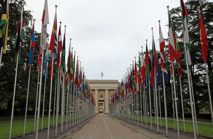 Existe alguma graduação específica para trabalhar na ONU?