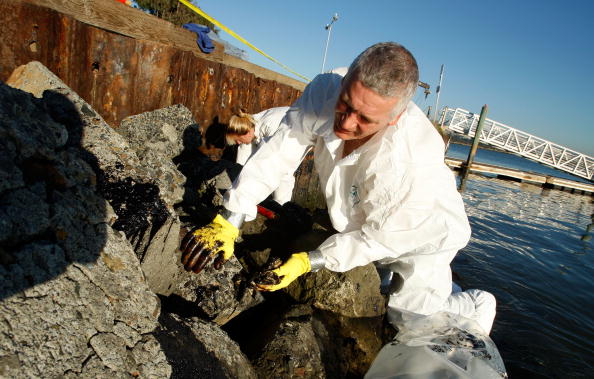 Bay Area Reacts To Devastating Oil Spill