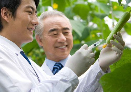Unicamp inscreve para pós-graduação em Ciência dos Alimentos