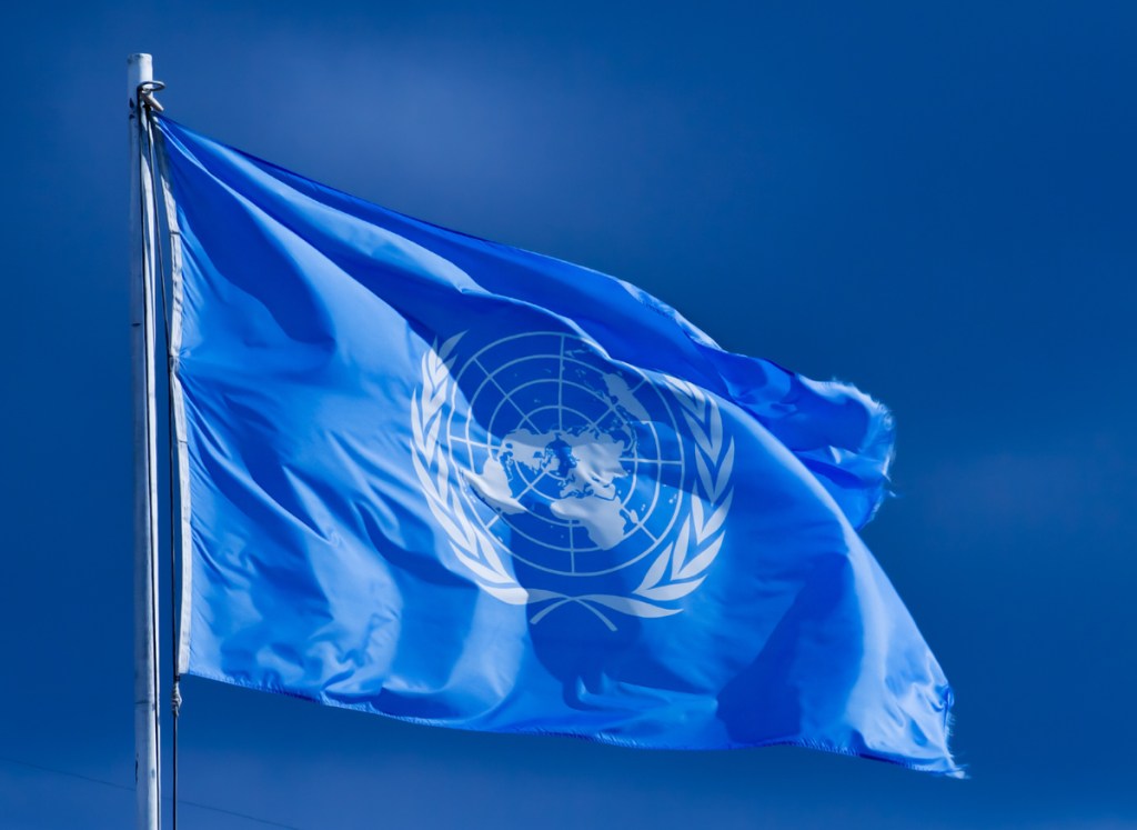 Quero trabalhar na ONU! O que devo fazer?