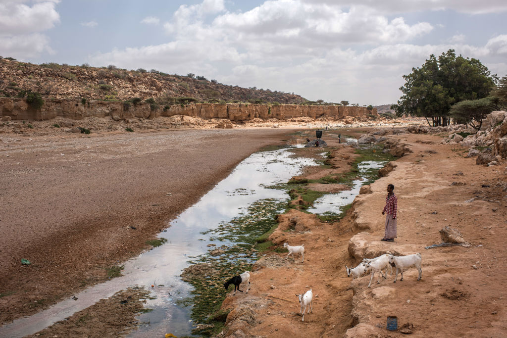 Fome ameaça população do Chifre da África, Nigéria e Iêmen