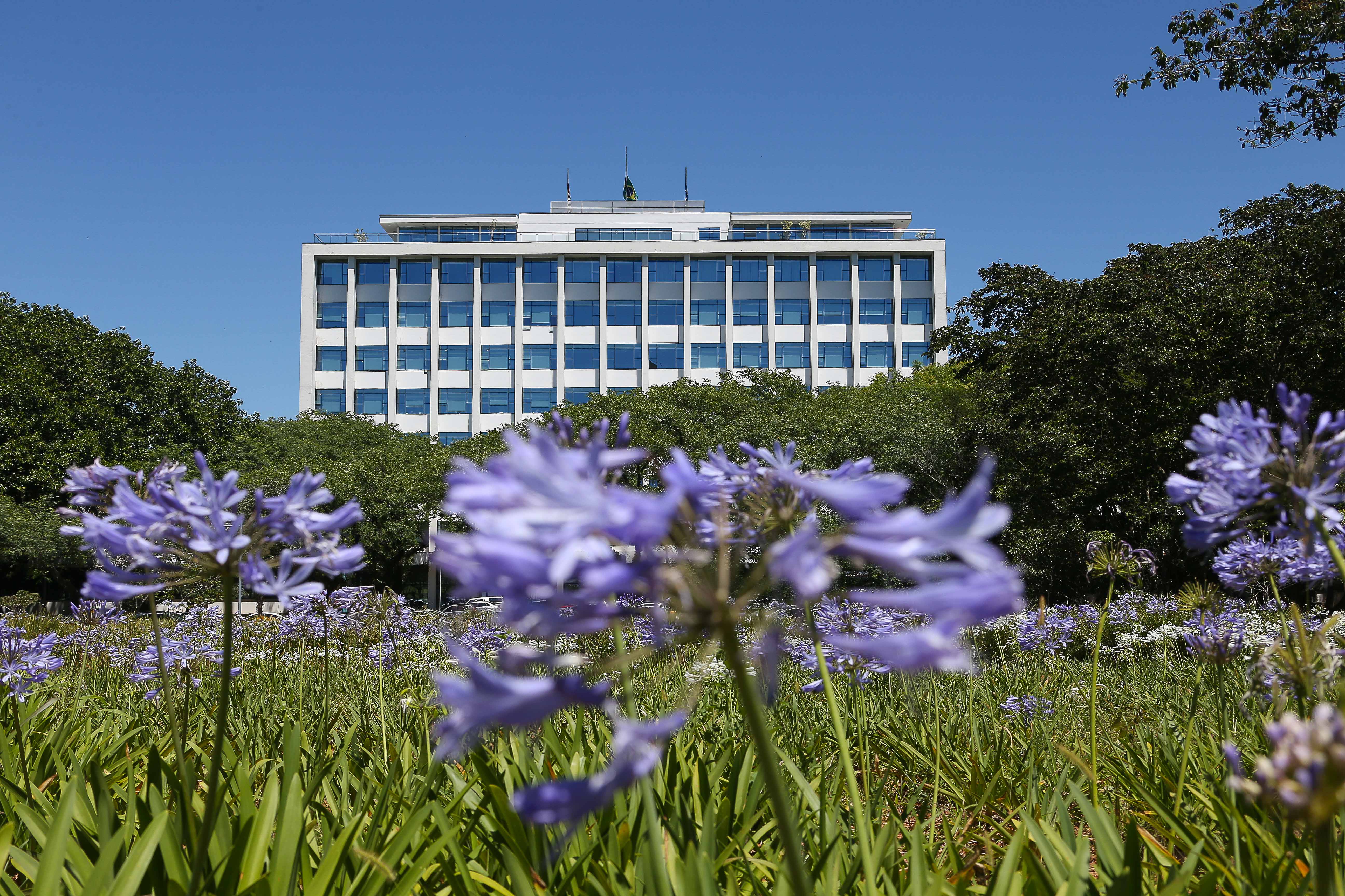 Comunidade USP pode se inscrever em corrida no campus Butantã