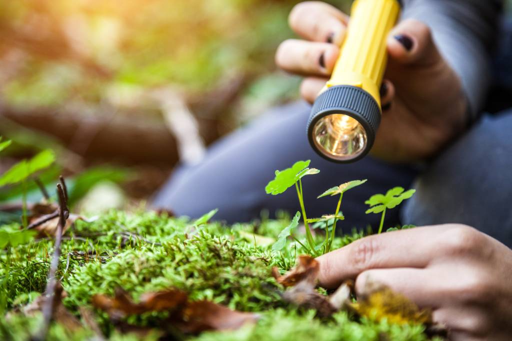 Agronomia: conheça os cursos mais bem avaliados do Brasil