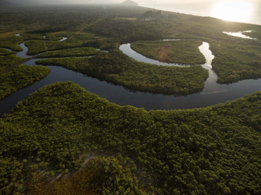 Como cai na prova: Climas e vegetações do Brasil
