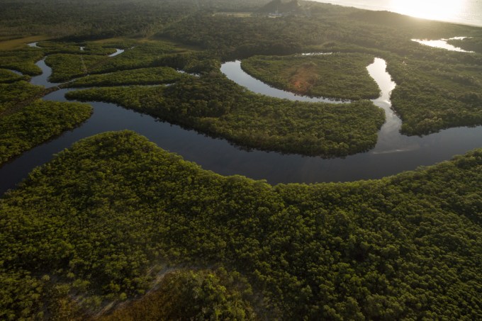Rio e floresta tropical no Brasil
