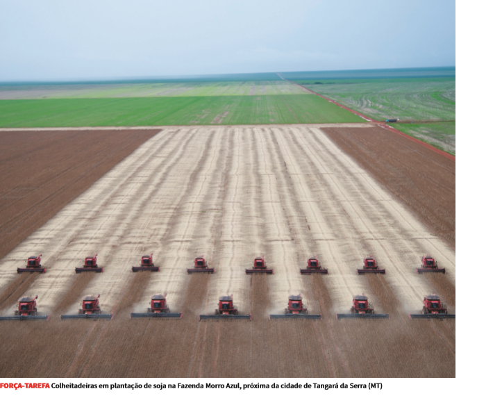 Economia – Agropecuária: bom momento para a agropecuária