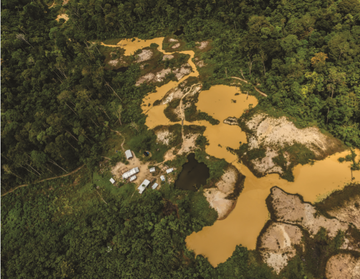 Ciência e Meio Ambiente – Desmatamento: novas ameaças à Floresta Amazônica