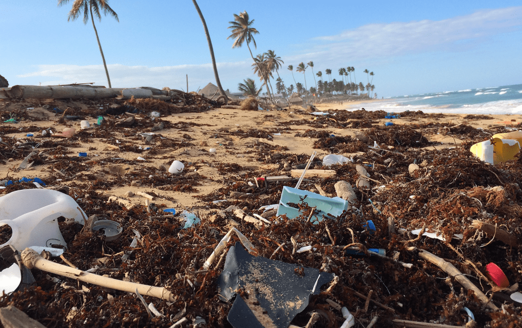 Plásticos são os principais predadores do oceano
