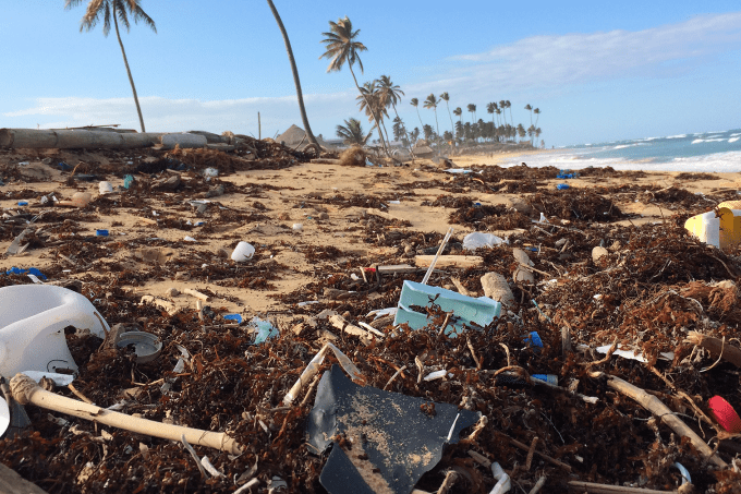 Plásticos são os principais predadores do oceano