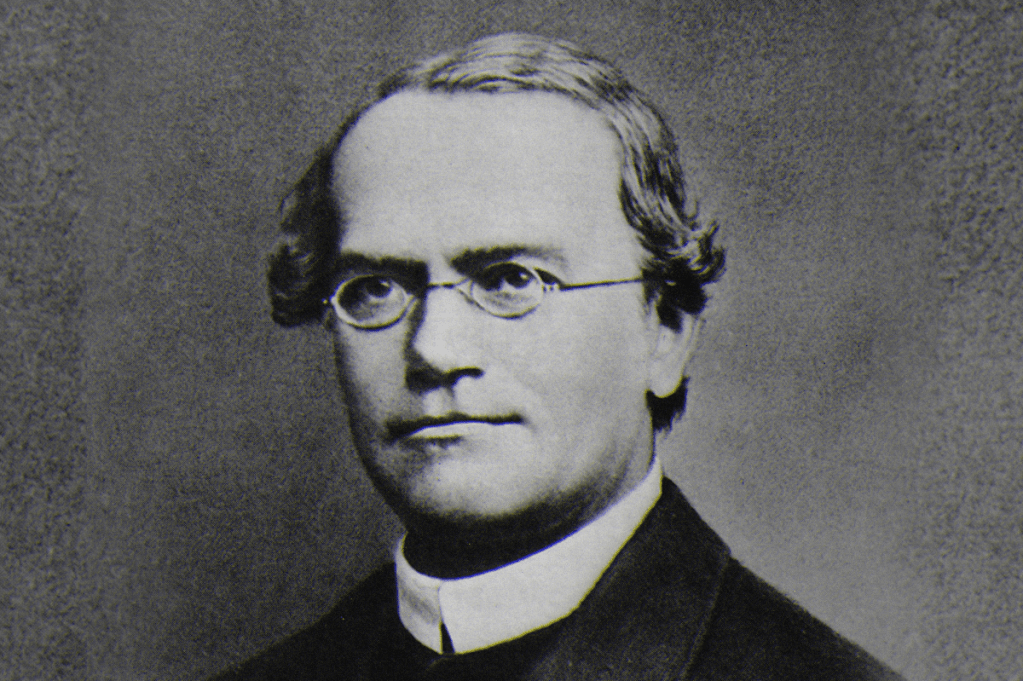5 curiosidades sobre o monge Gregor Mendel, cientista pai da genética