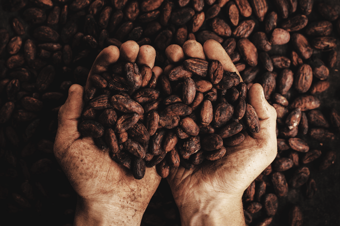 A história do cacau e o trabalho escravo que abastece os mercados de chocolate no mundo