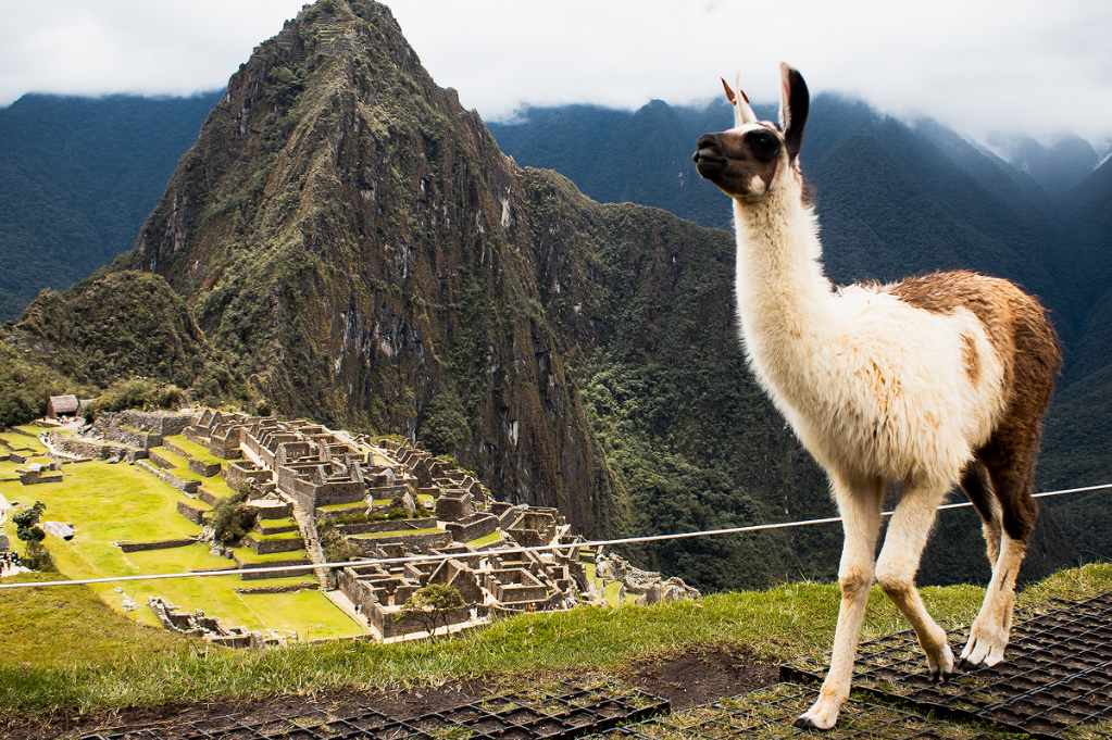 Curiosidades sobre Machu Picchu, a cidade em ruínas dos Incas