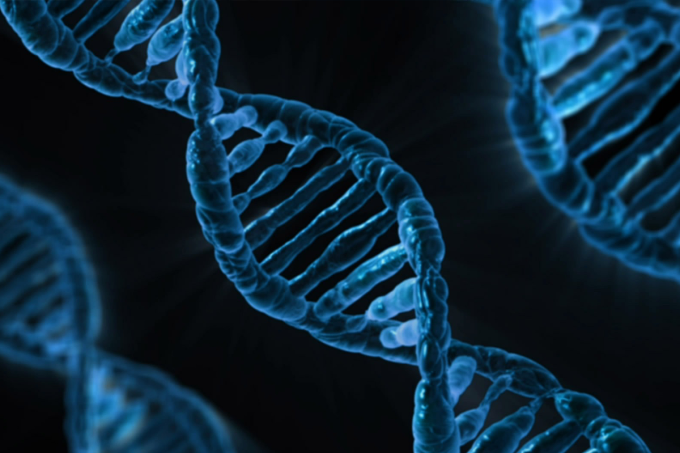Biologia – Genes letais