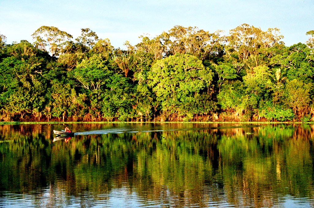 Qual é a importância ecológica da Amazônia?