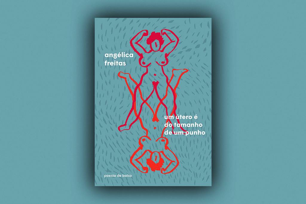 Deputados querem tirar livro feminista da lista da UFSC