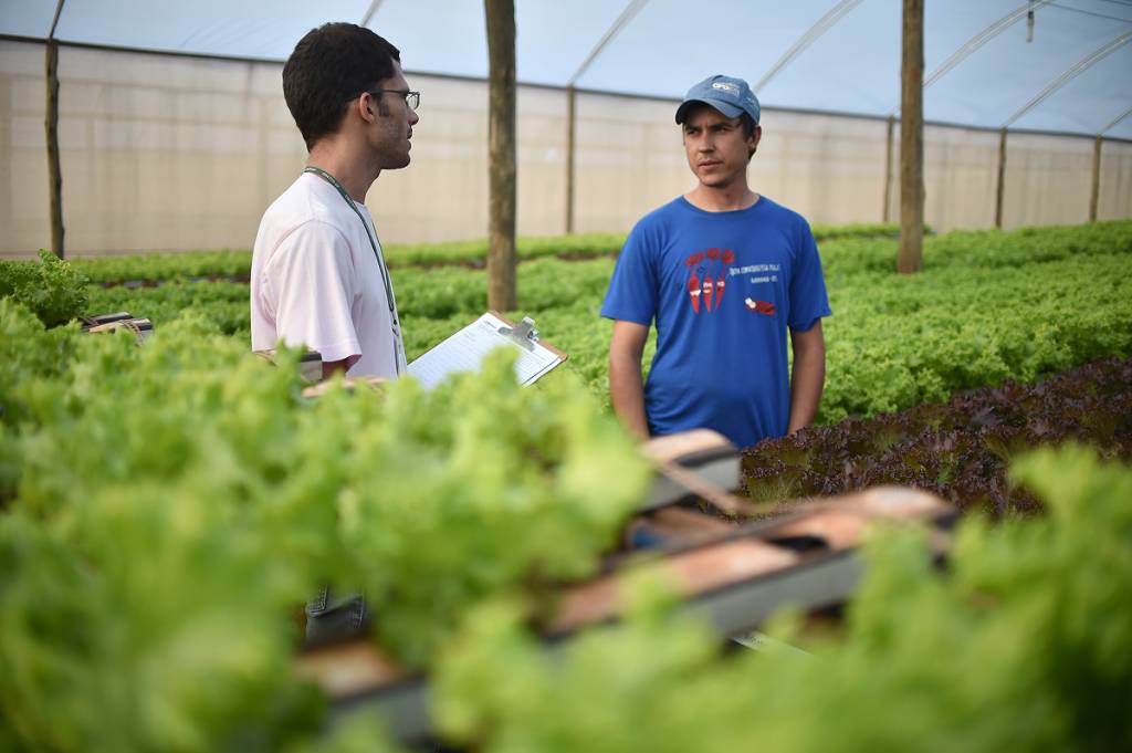 Engenheiro agrônomo também pode atuar na área da Zootecnia?