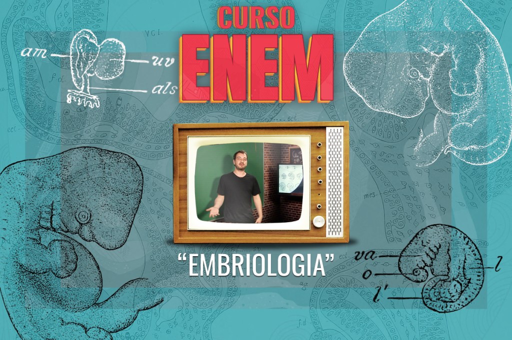 Videoaula do Curso Enem – Embriologia
