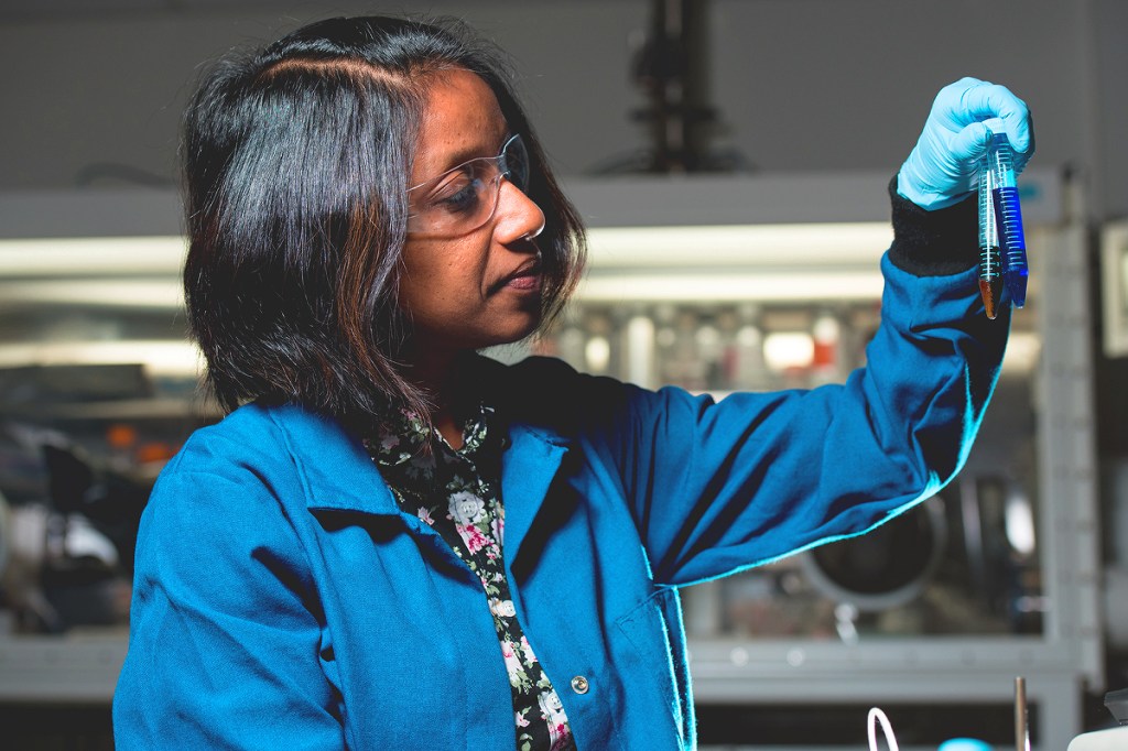 UEM é a segunda universidade do mundo com mais pesquisadoras mulheres