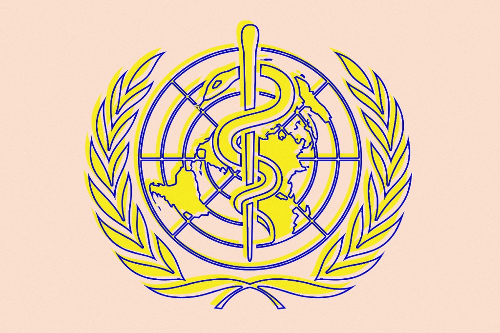 O que é a Organização Mundial da Saúde e qual a sua função?