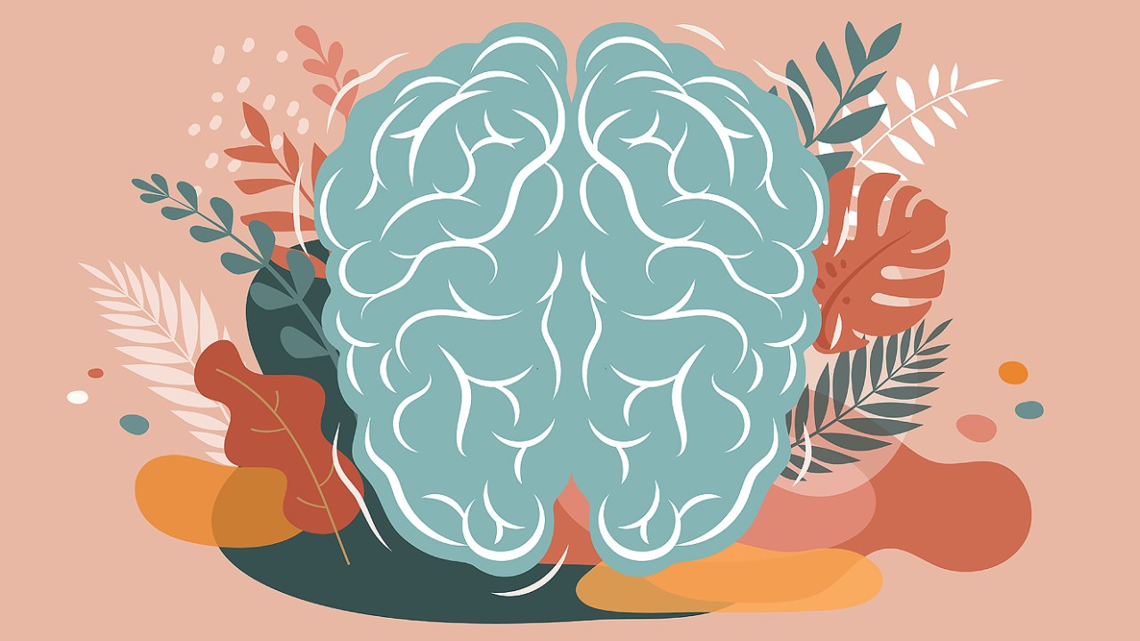 Ilustra de um cérebro com plantas ao redor
