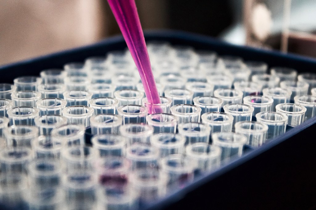 O que é teste in vitro? Saiba mais sobre os experimentos com nitazoxanida