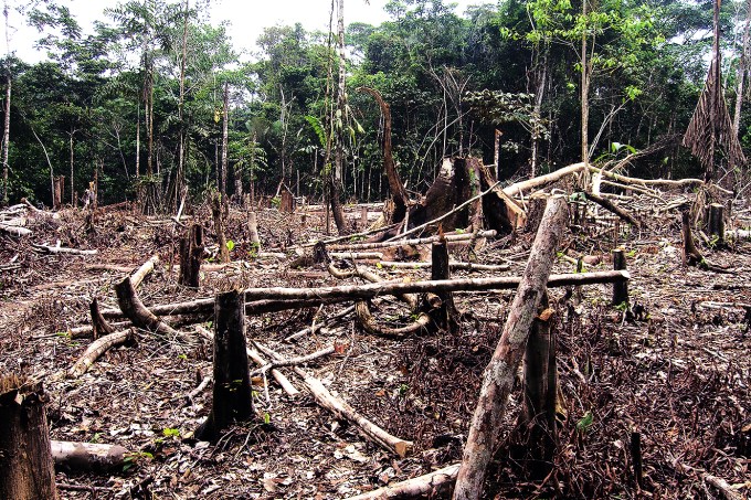 Atualidades – a situação do desmatamento na Amazônia