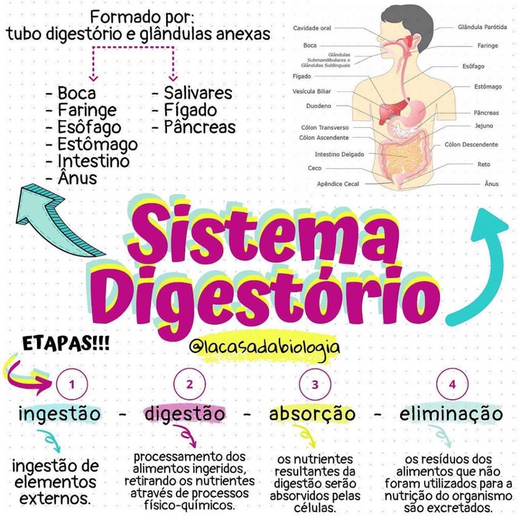 10 perfis no Instagram para aprender Biologia