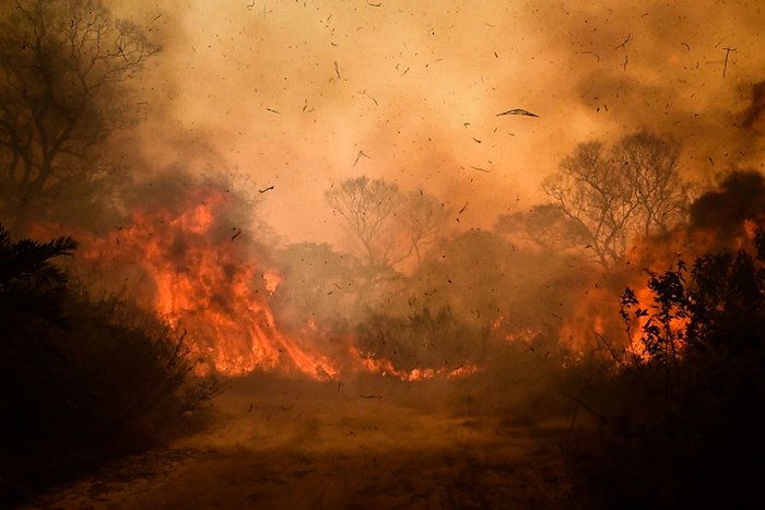 Pantanal em chamas: como é o bioma e como ele é cobrado nas provas