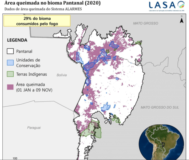 LASA PANTANAL