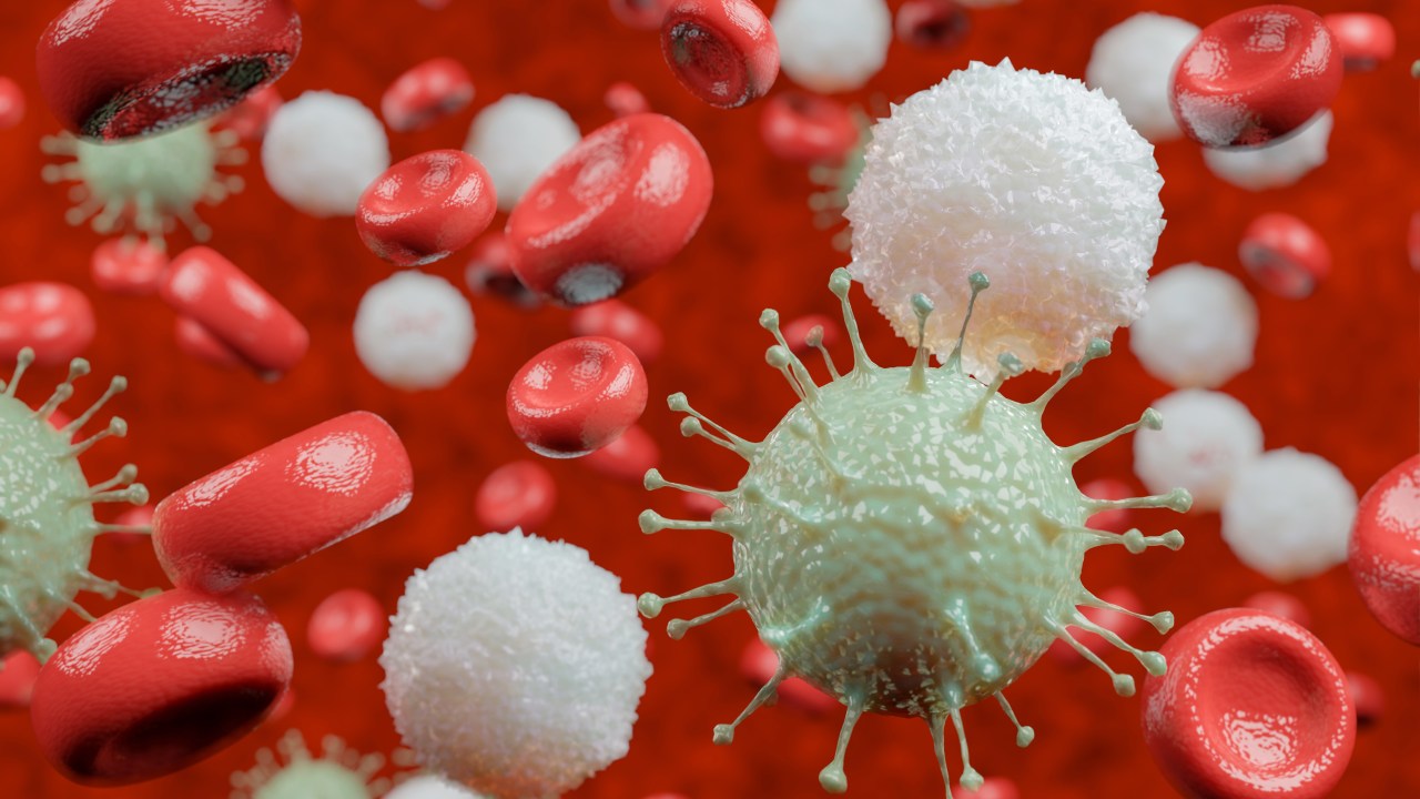 Como funciona o nosso sistema imunológico? | Guia do Estudante