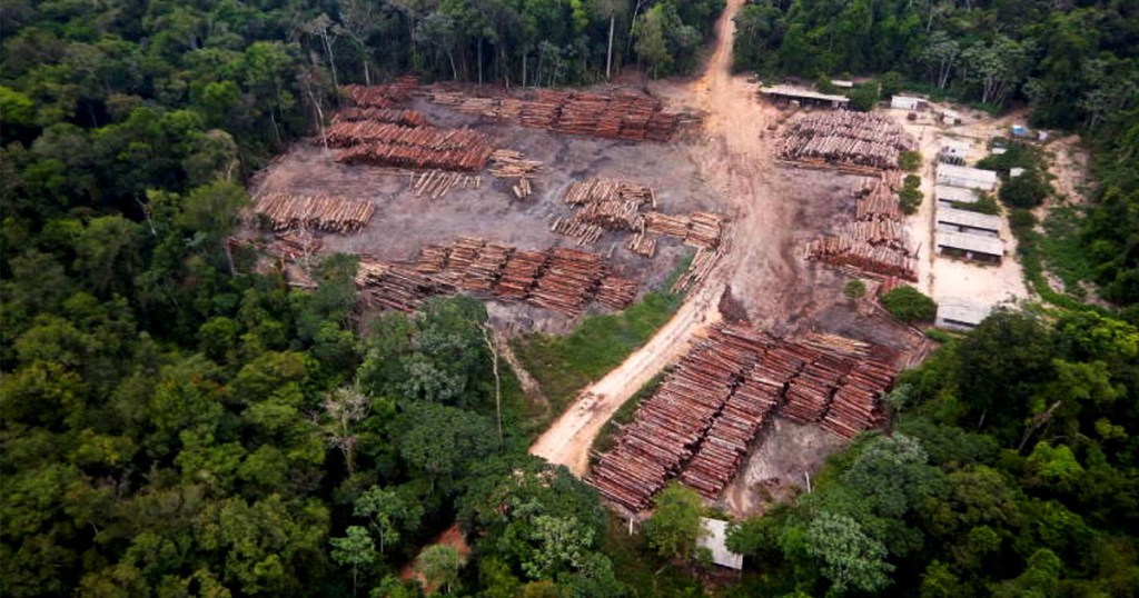 Plano do governo para Amazônia mantém desmatamento