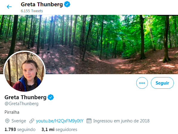 Em resposta a Bolsonaro, Greta se intitula 