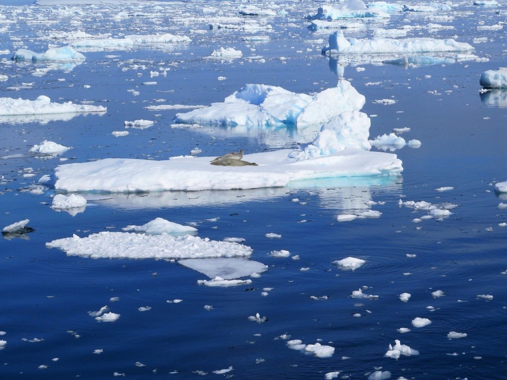 Oceano Antártico: como a mudança cai nas provas