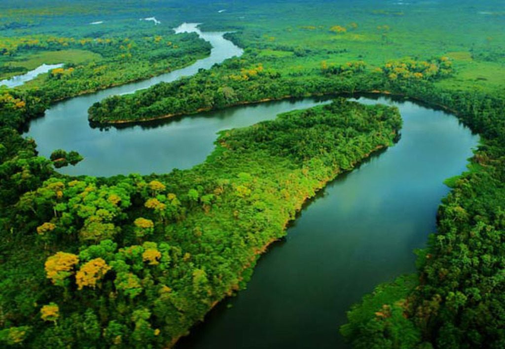 Amazônia: tudo sobre o bioma e como ele pode cair no vestibular