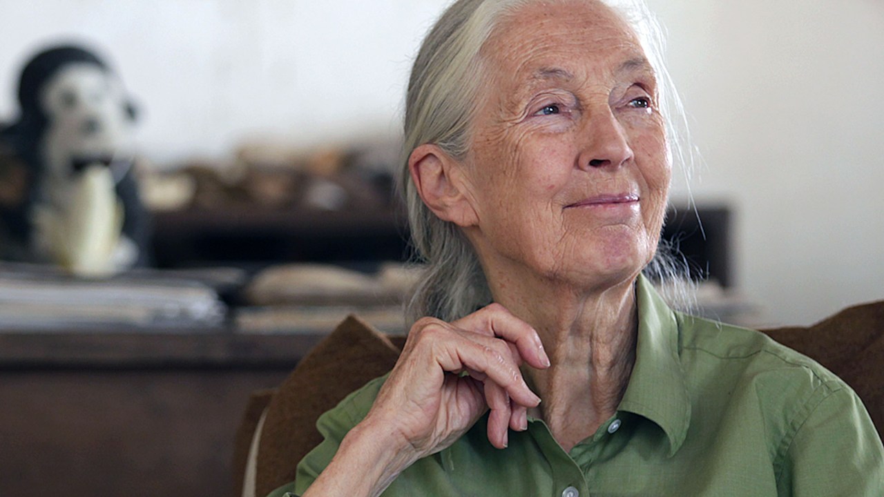 Dr. Jane Goodall no Gombe National Park