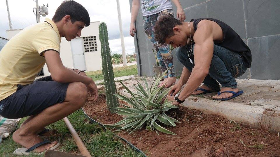 caatinga alunos alunos plantam mudas da caatinga. Crédito: