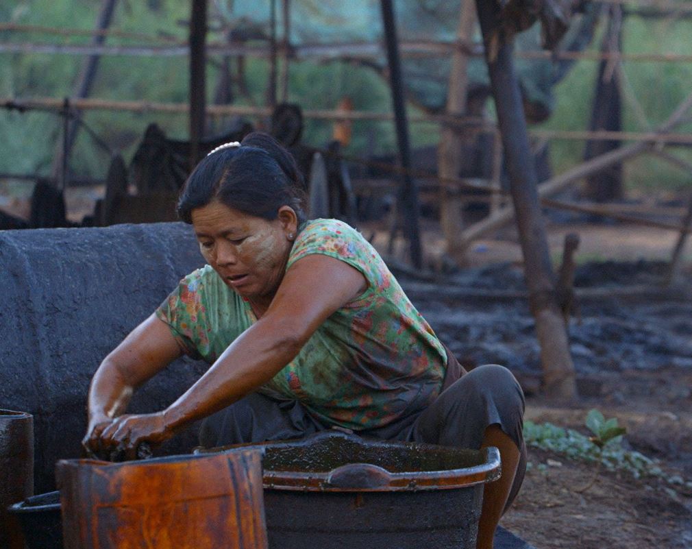 Ecofalante: mostra de cinema amplia repertório sobre meio ambiente