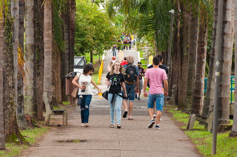 Campus de Florianópolis da Universidade Federal de Santa Catarina