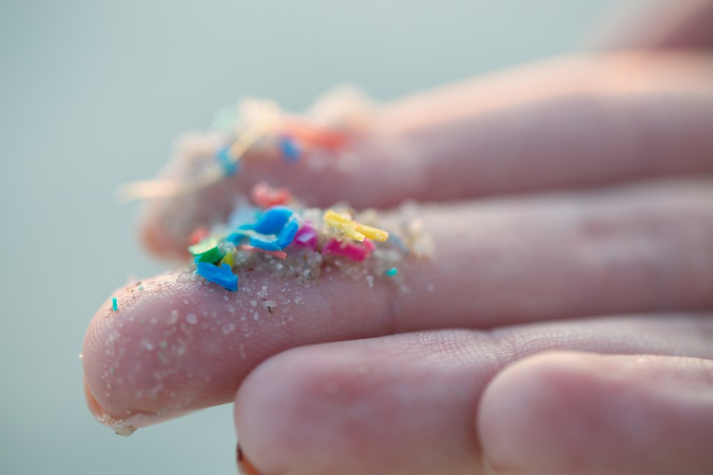 Microplásticos: entenda os impactos no meio ambiente e na saúde humana