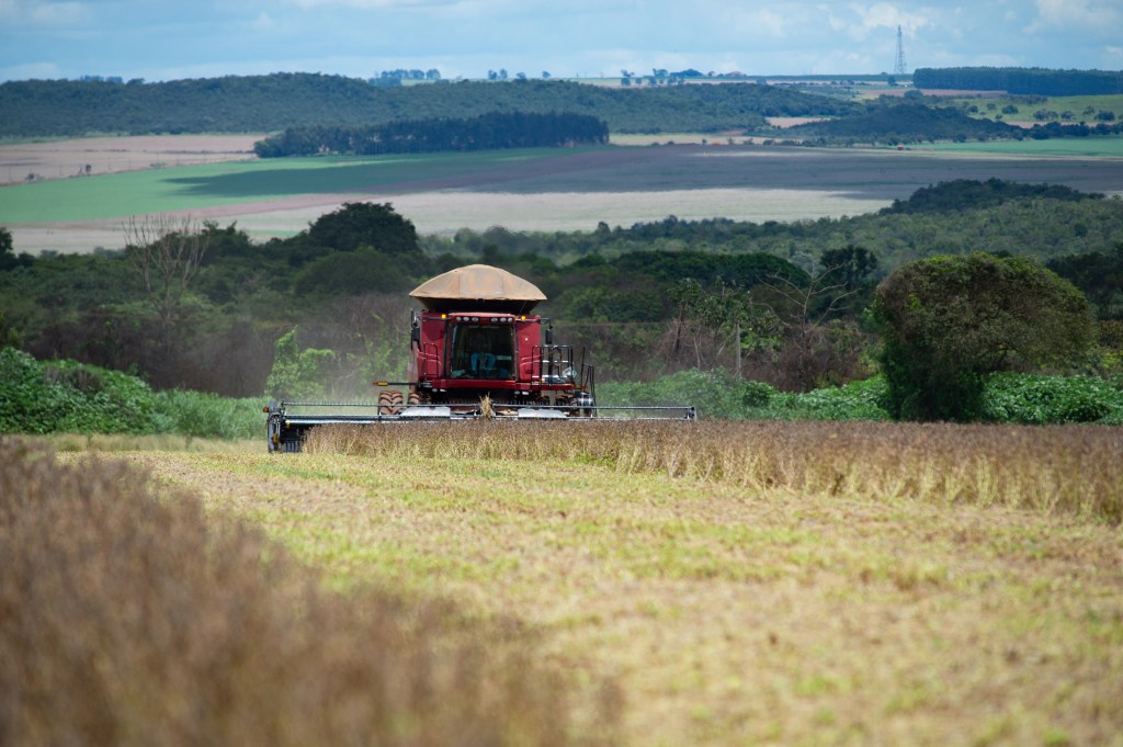 Produção agropecuária cresce no Brasil