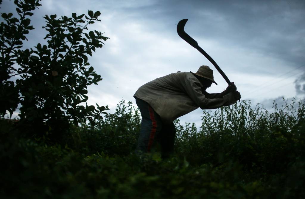 Escravidão moderna expõe precarização no mundo do trabalho