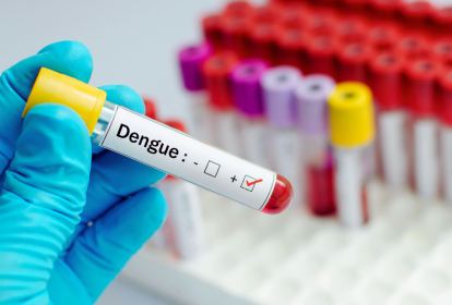 Amostras de sangue com diagnostico da dengue