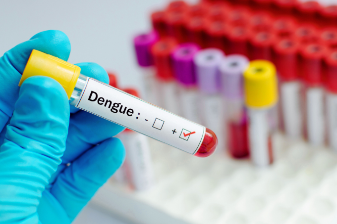 tudo-sobre-dengue