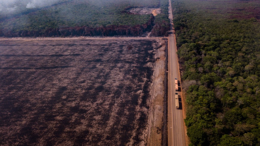Resumo: a história do desmatamento da Amazônia