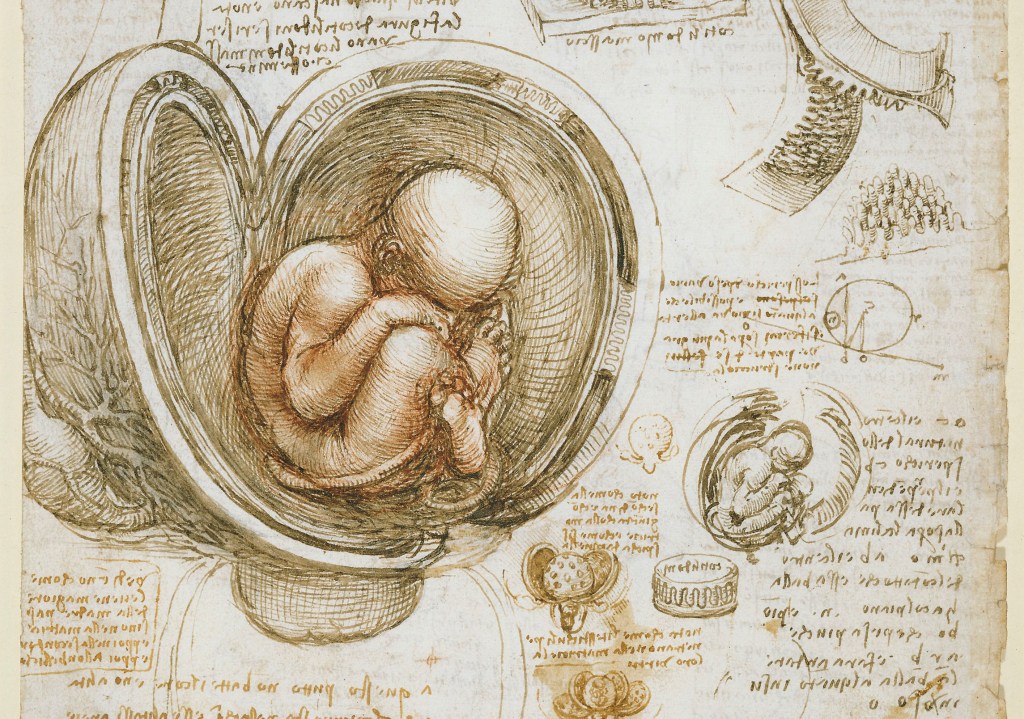 "Estudos do feto no útero", de Leonardo Da Vinci (1511)