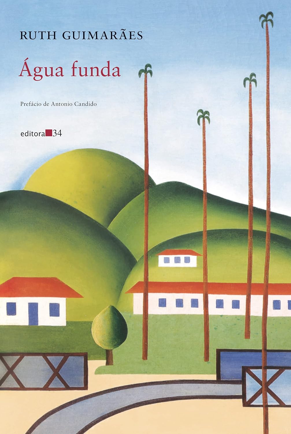 Capa do livro "Água funda"