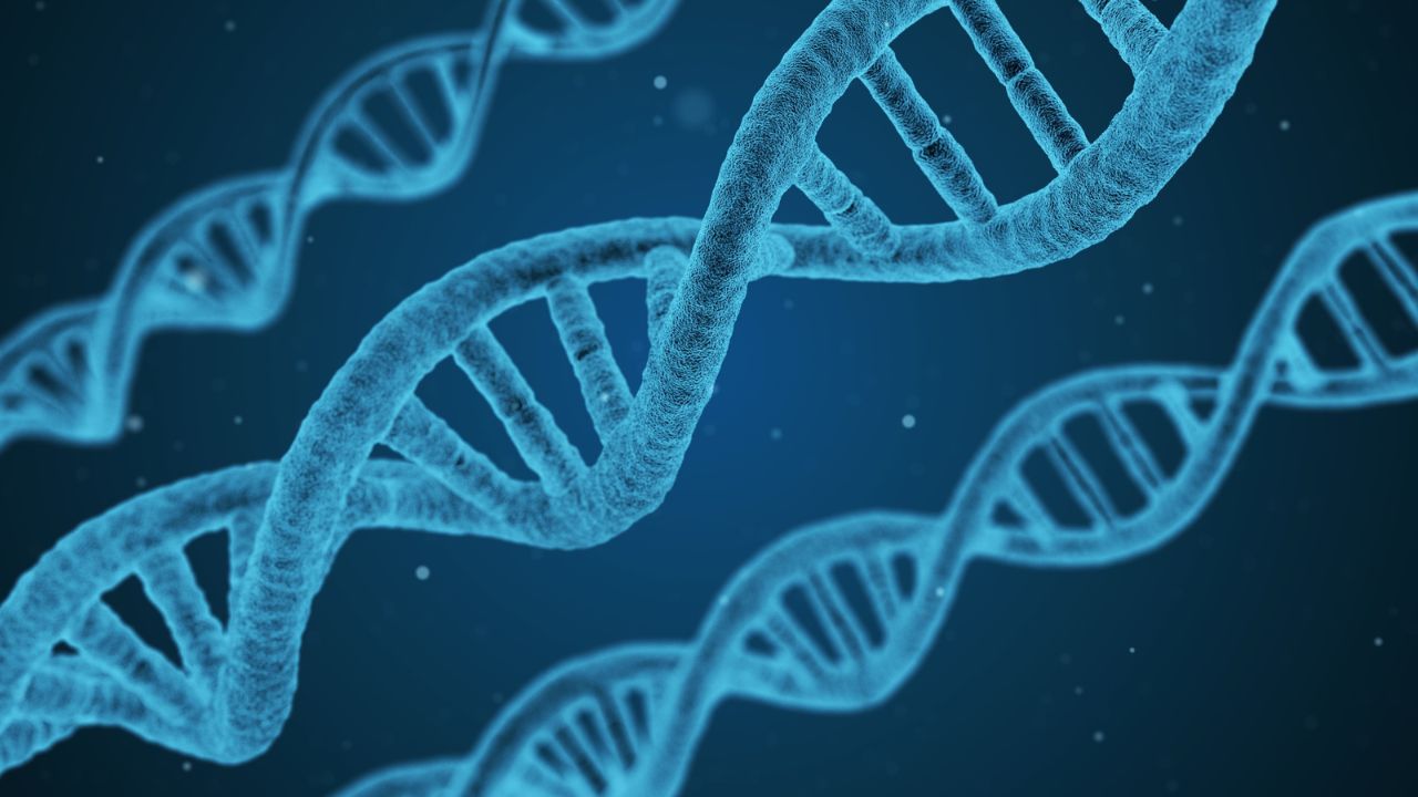 imagem de trechos de DNA