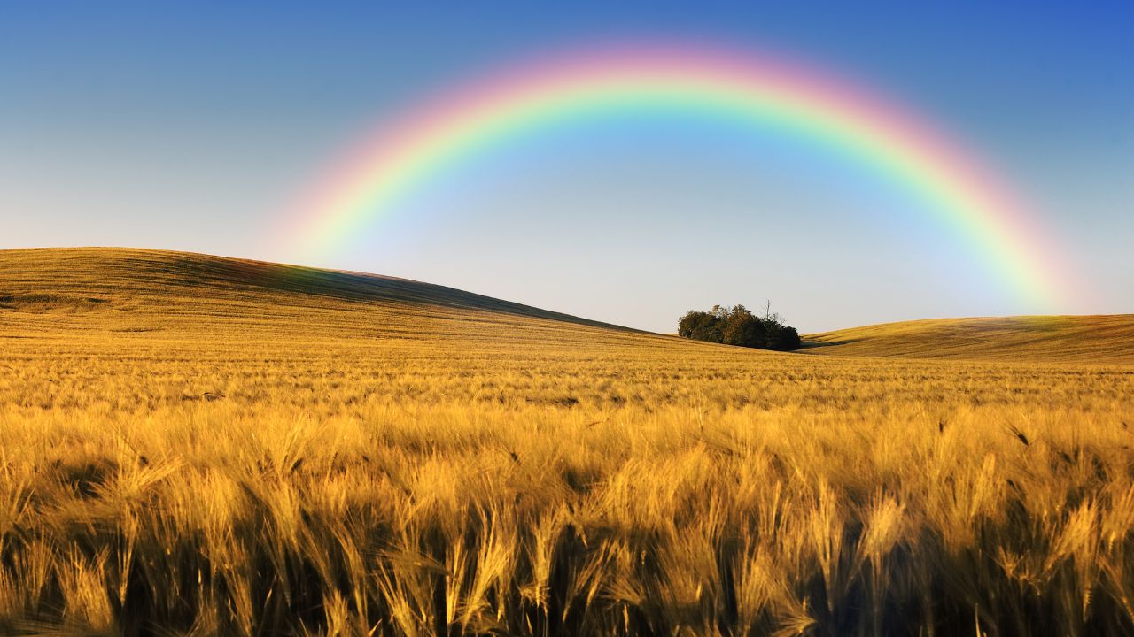 arco-íris em uma plantação
